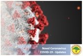 COVID-19 Update 