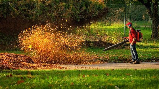 Leaf Blower Image 
