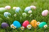egg hunt