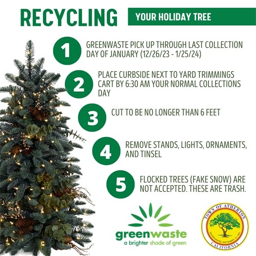 Steps to Recycle Your Tree