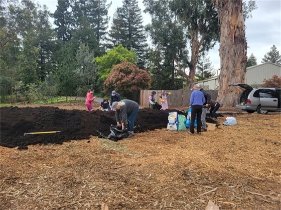 picture of compost pile at holbrook palmer park