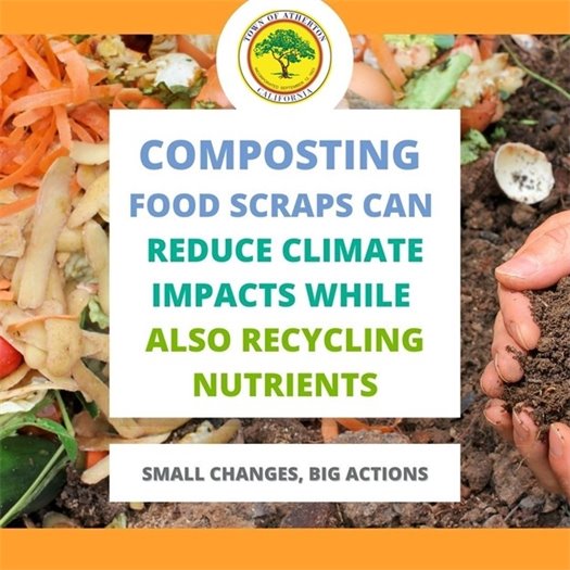 Compost 